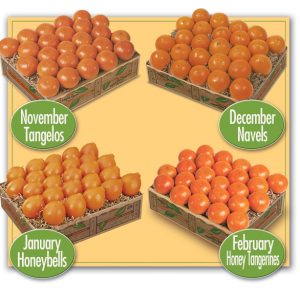 The Petite Sweets Club Plan