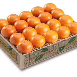 Tasty Twenty Mandarins